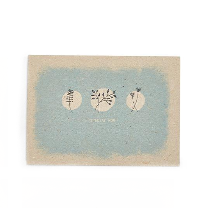 Special Mom - Recycled Paper Card - Mellow Monkey