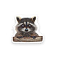 Rocky Raccoon - Mini Sticker #12 - Mellow Monkey