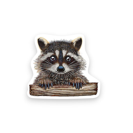 Rocky Raccoon - Mini Sticker #12 - Mellow Monkey