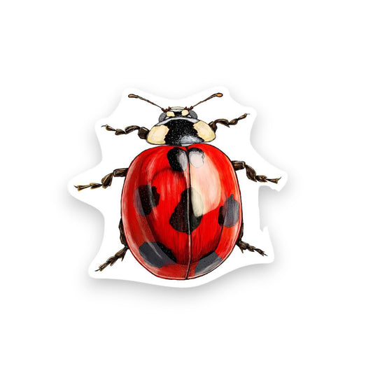 Ladybug - Mini Sticker #8 - Mellow Monkey
