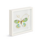 Green and White Butterfly Wall Art - 10-in - Elizabeth Hayes Creative Collection - Mellow Monkey