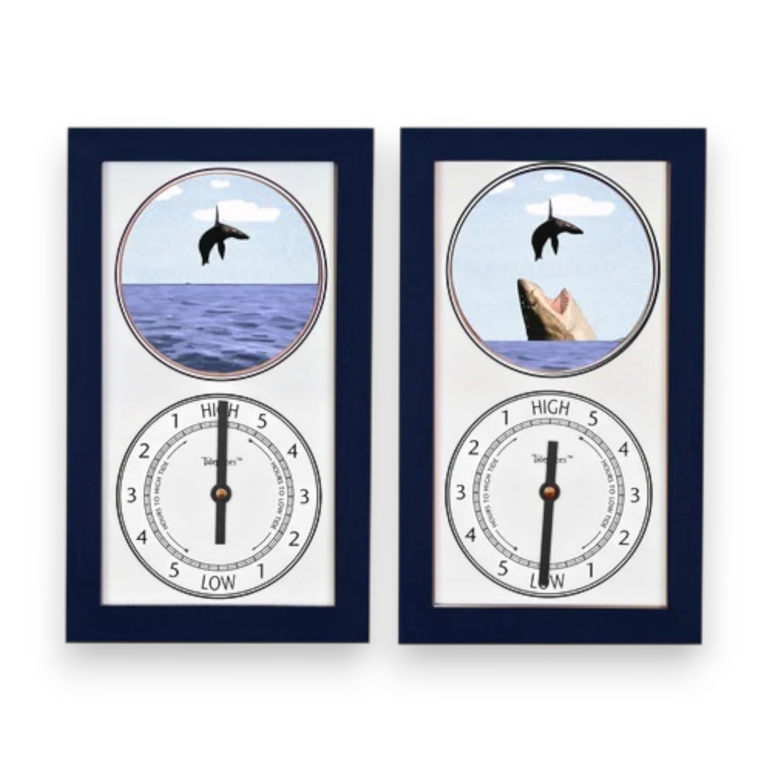 Tidepieces - Great White Shark Tide Clock - NAVY - Mellow Monkey