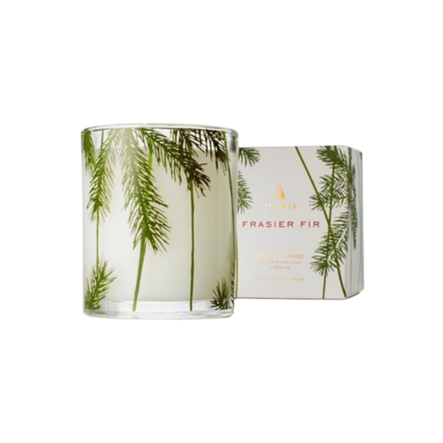 Thymes Frasier Fir Poured Candle With Pine Needle Design - 6-1/2-oz. - Mellow Monkey
