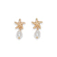 Dainty Starfish With Pearl Drops - Earrings - Mellow Monkey