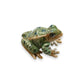 Rana Leopard Frog Porcelain Miniature - Mellow Monkey