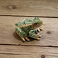 Rana Leopard Frog Porcelain Miniature - Mellow Monkey