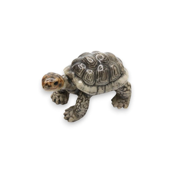 Darwin Galapagos Tortoise Porcelain Miniature - Mellow Monkey
