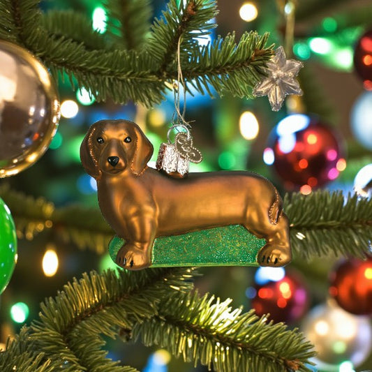 Dachshund - Old World Christmas Blown Glass Holiday Ornament - Mellow Monkey