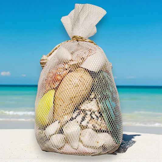 Asst Polished Shells in White Plastic Net - 7-in - Mellow Monkey