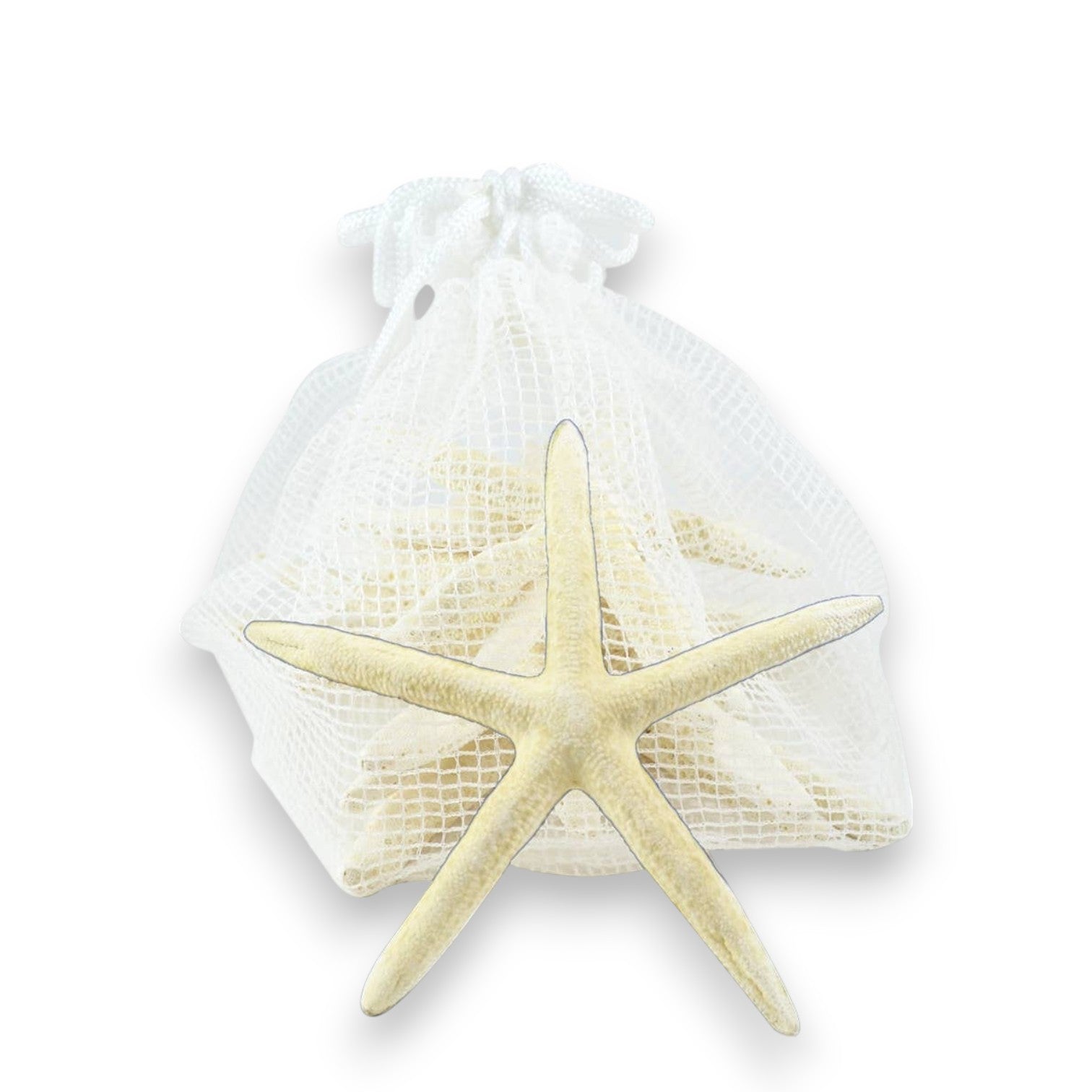 Ten White Finger Starfish Pack - Mellow Monkey