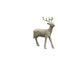 Decorative Reindeer - Mellow Monkey