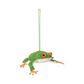 Handmade Wool Felt Frog Ornament - 4-in - Mellow Monkey