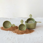 Stoneware Pine Tree Embossed Measuring Cups - Set of 4 - Mellow Monkey