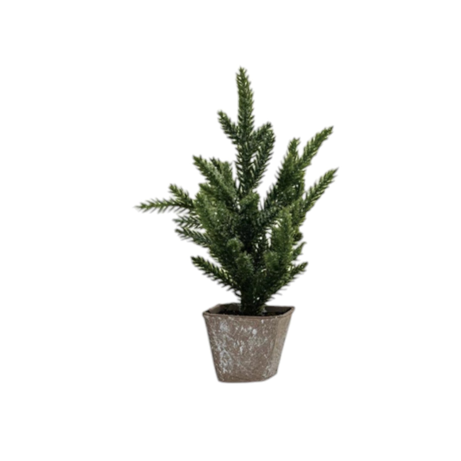 Faux Evergreen Tree in Paper Pot with Snow Finish - Mellow Monkey