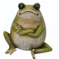 Contemplative Frog - Mellow Monkey