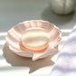 Seashell Dish - Blush - Coastal Inspired.