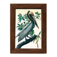 Vintage Brown Pelican Print - Wood Frame - 8-1/2-in x 12-in - Mellow Monkey