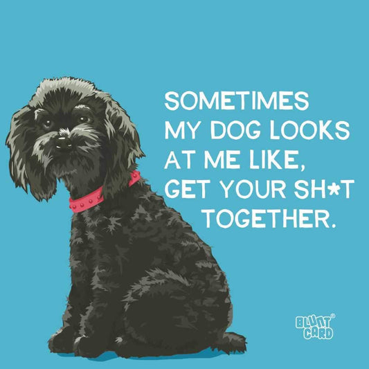 Sometimes My Dog Looks At Me Like, Get Your Sh*t Together - Cocktail Napkins - Mellow Monkey