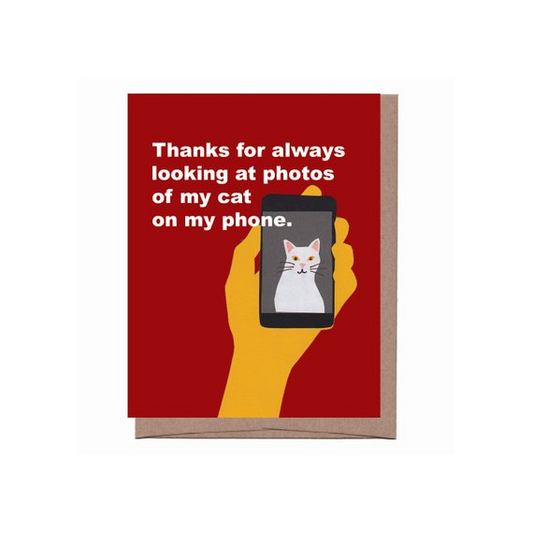 Cat Photos - Greeting Card - Mellow Monkey