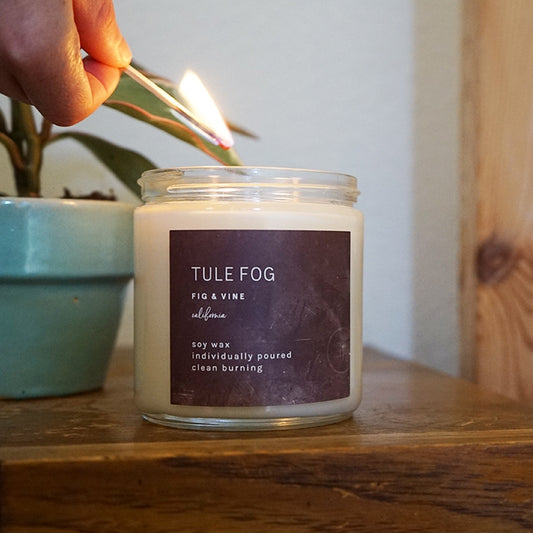 Fig + Vine - Double Wick Soy Candle - 12-oz. - Mellow Monkey