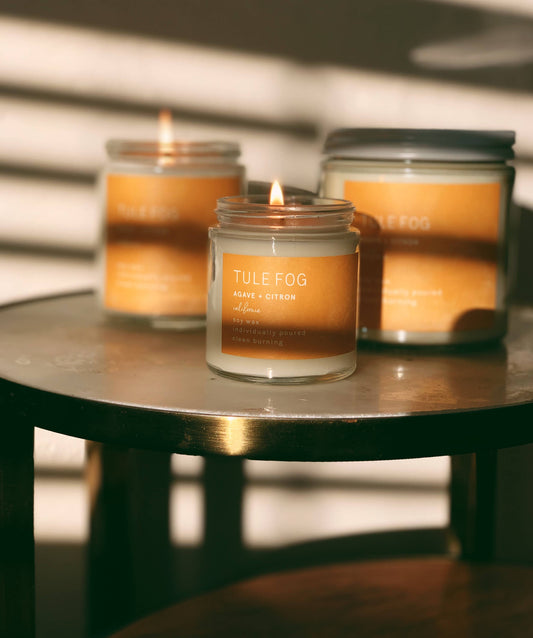 Agave + Citron - Double Wick Soy Candle - 12-oz. - Mellow Monkey