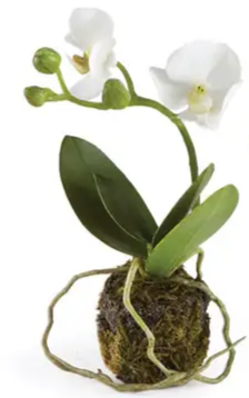 Faux Phalaenopsis Orchid Drop-in - Mellow Monkey