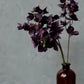 Abigail Ahern Phalenopsis Orchid Stem - Purple - Artificial Floral Stem - 47-in - Mellow Monkey