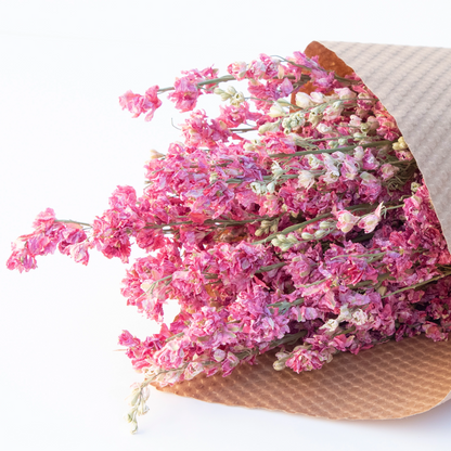Dried Assorted Larkspur Flowers - 3oz - Mellow Monkey