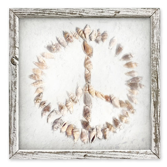 Seashell Peace Sign - Rustic Framed Shelf Art - Rustic White Frame 8-1/4-in - Mellow Monkey