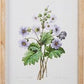 Homestead Floral Framed Wall Art - 15.75-in - Mellow Monkey