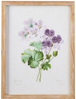 Homestead Floral Framed Wall Art - 15.75-in - Mellow Monkey
