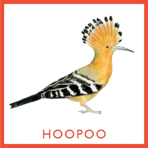 Bird Bingo - Illustrated Bingo Game - Mellow Monkey