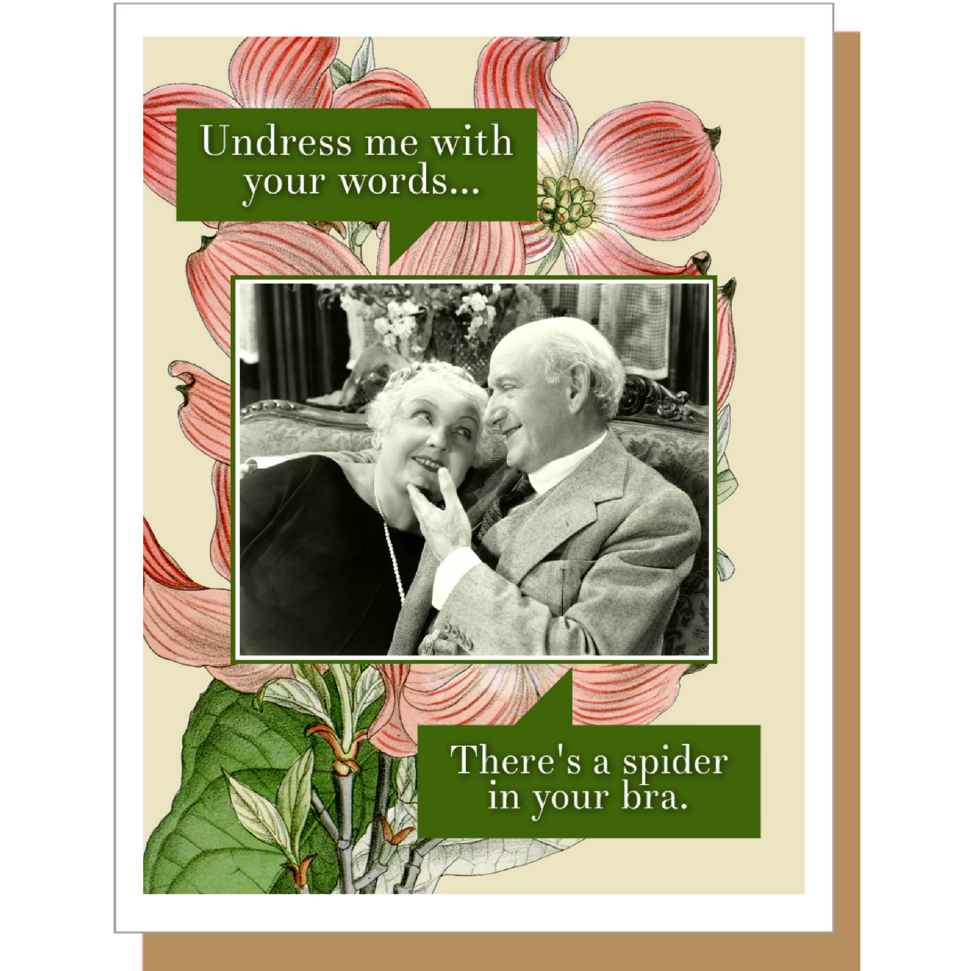 Undress Me With Your Words... There's A Spider In Your Bra - Greeting Card - Mellow Monkey