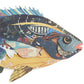 Framed Paper Collage Fish Wall Art - Mellow Monkey