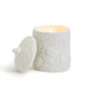 Watercolors Shell and Coral Relief Filled Candle with Sea Spray Scent - Gift Box - 10.6-oz - Mellow Monkey