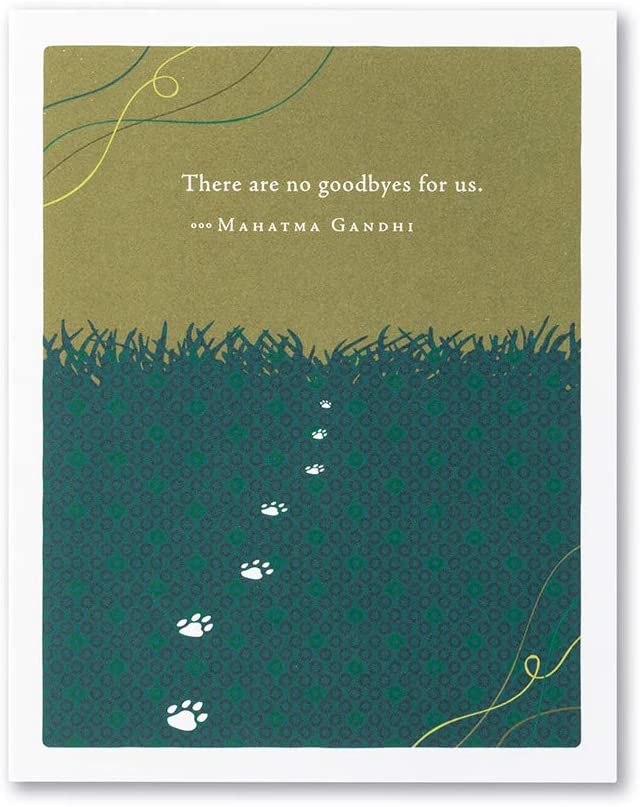 Positively Green Greeting Card - Pet Sympathy Card - "There are no goodbyes..." - Mellow Monkey