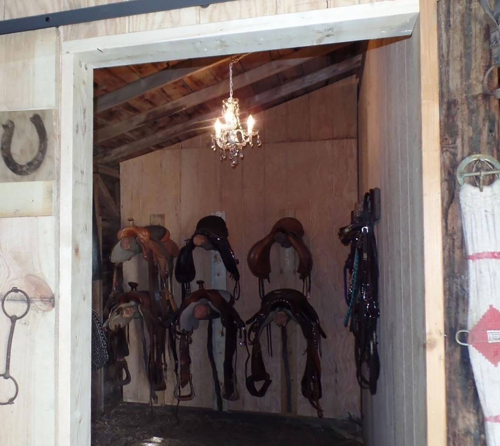 Chandelier - 3 Light - Plug In - Crystal Clear - Mellow Monkey