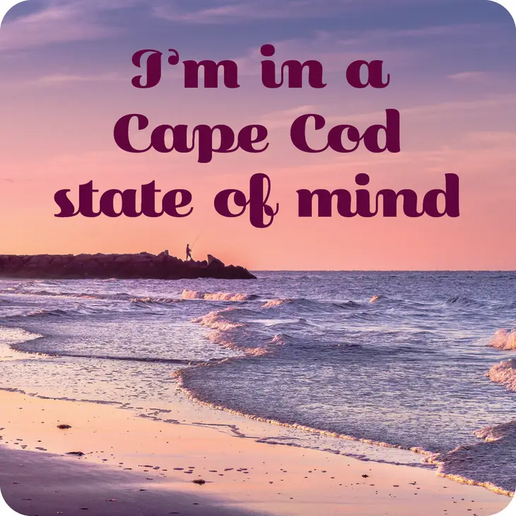 I'm in a Cape Cod State of Mind - Coaster - 4-in - Mellow Monkey