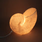 Nautilus Shell Accent Lamp - 10-in - Mellow Monkey