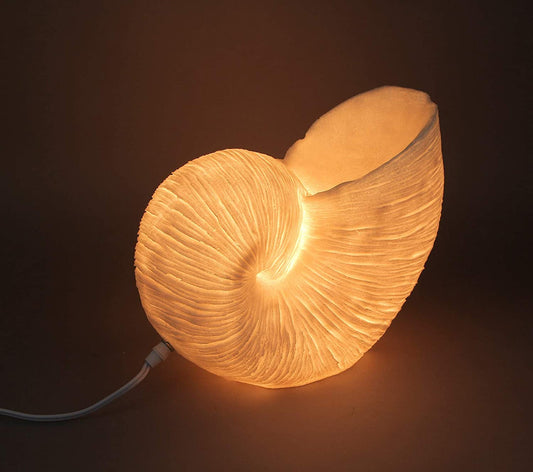 Nautilus Shell Accent Lamp - 10-in - Mellow Monkey