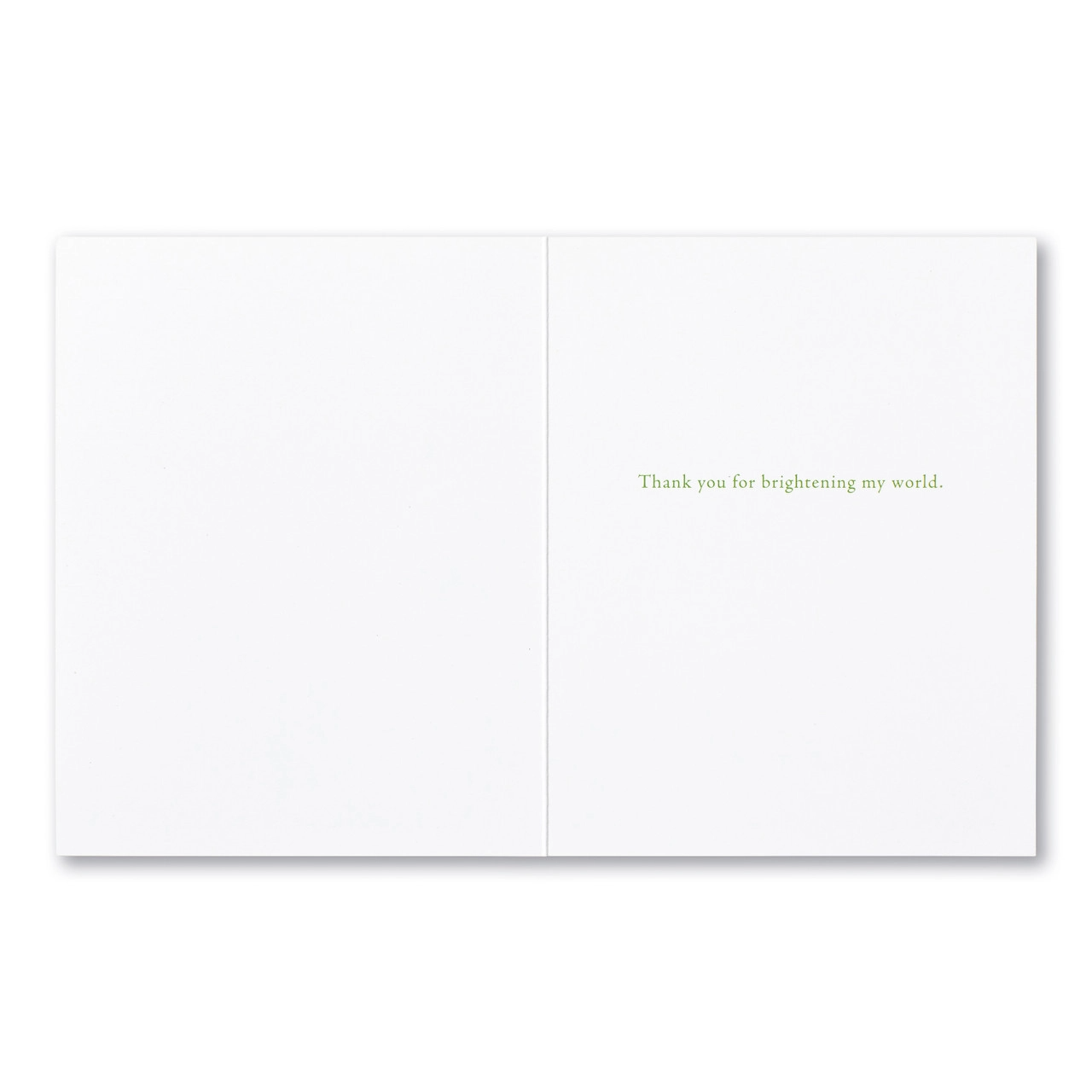 Positively Green Thank You Greeting Card - “A kind word is like a spring day" - Russian Proverb - Mellow Monkey