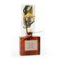 Neroli Cedar Bouquet Reed Bundle Fragrance Diffuser - Mellow Monkey