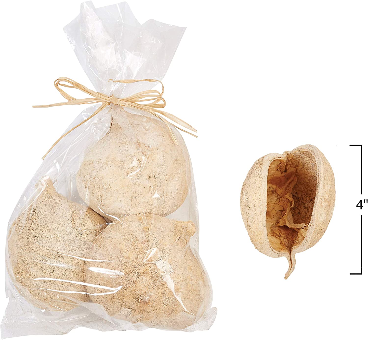 Dried Natural Buddha Bag - Bleached (Contains 3 Pieces) Nut, Off-White - 4-in - Mellow Monkey
