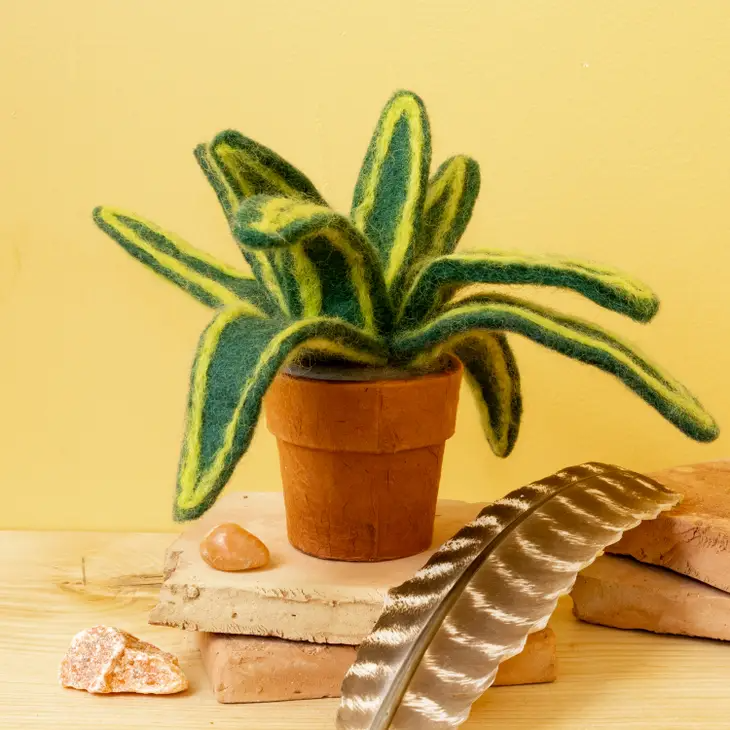 snake cactus plant dZi Handmade- Small Snake Plant