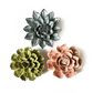 Blomma - Ceramic Flower Gift Set - Table or Wall Décor - Mellow Monkey