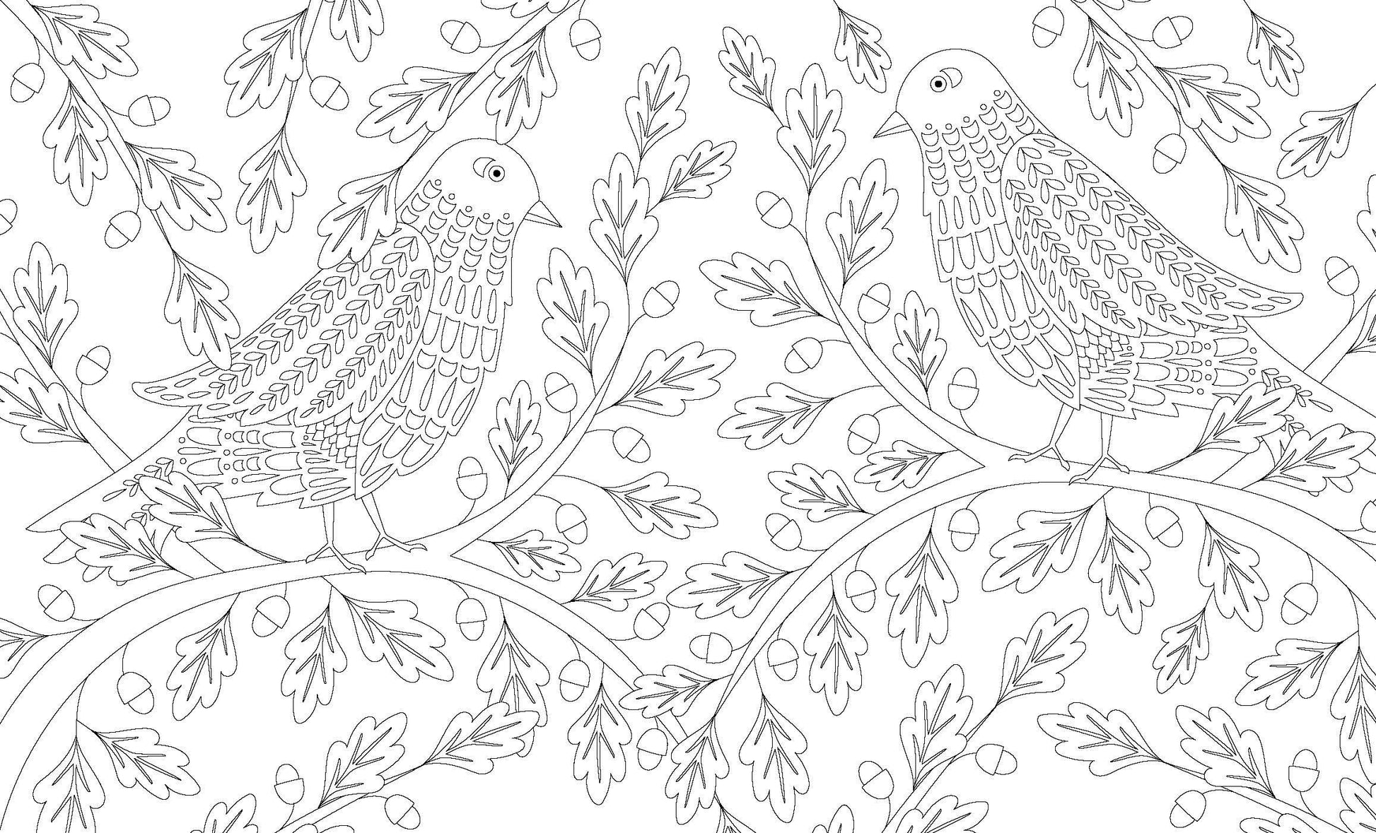 Birds: A Mindful Coloring Book - BookPal