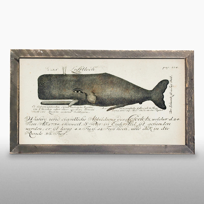 Framed Whale Art - Natural Horizontal Large - 26-inch - Mellow Monkey