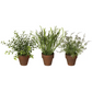 Potted Faux Foliage Plant - 8-in - Mellow Monkey