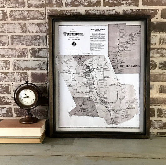 Vintage Trumbull Connecticut Map 1867 Framed Dark Brown Shadowbox 25-1/2-in - Mellow Monkey