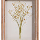 Botanical Shadowbox Framed Print - 10-in - Mellow Monkey